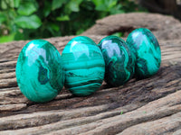 Polished Flower Banded Malachite Eggs - Sold Per Item - From Congo