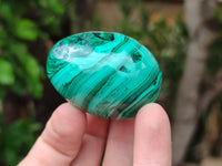 Polished Flower Banded Malachite Eggs - Sold Per Item - From Congo