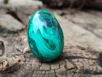 Polished Flower Banded Malachite Eggs - Sold Per Item - From Congo