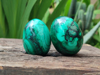 Polished Flower Banded Malachite Eggs - Sold Per Item - From Congo