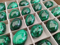 Polished Flower Banded Malachite Eggs - Sold Per Item - From Congo