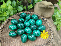 Polished Flower Banded Malachite Eggs - Sold Per Item - From Congo