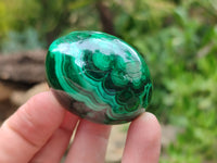 Polished Flower Banded Malachite Eggs - Sold Per Item - From Congo