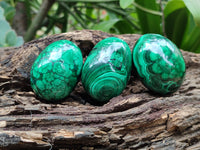 Polished Flower Banded Malachite Eggs - Sold Per Item - From Congo