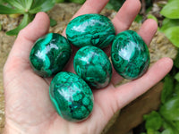 Polished Flower Banded Malachite Eggs - Sold Per Item - From Congo