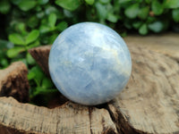 Polished Blue Calcite Spheres x 7 From Madagascar