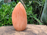 Polished Orange Twist Calcite Leaf Sculpture x 1 From Maevantanana, Madagascar