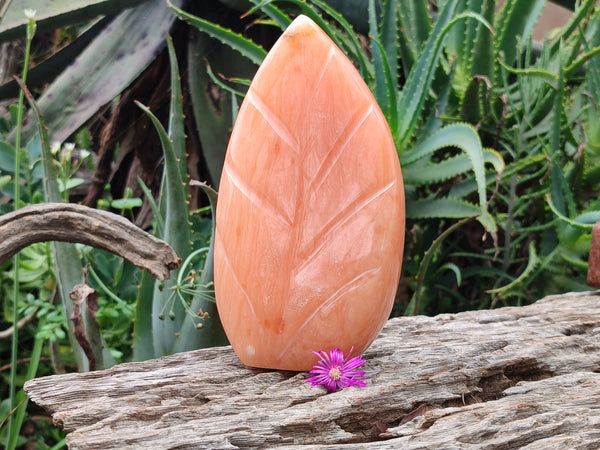 Polished Orange Twist Calcite Leaf Sculpture x 1 From Maevantanana, Madagascar