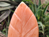 Polished Orange Twist Calcite Leaf Sculpture x 1 From Maevantanana, Madagascar