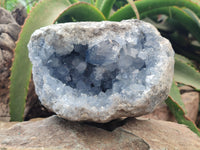 Natural Celestite Geode Specimen x 1 From Sakoany, Madagascar