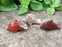 Polished Mixed Set Of 12 Gemstone Dolphin Pendants - Sold Per Box - From Southern Africa