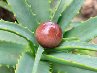 Polished Mixed Box Set of 12 Mini Gemstone Sphere - Sold Per Box - From World