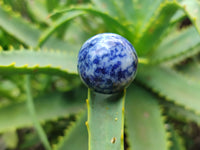 Polished Mixed Box Set of 12 Mini Gemstone Sphere - Sold Per Box - From World