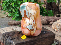 Polished Polychrome Jasper Standing Free Form x 1 From Madagascar