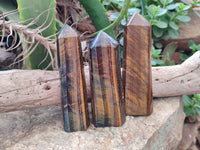 Polished Tigers Eye Points x 6 From Prieska, South Africa