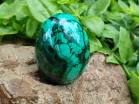 Polished Classic Large Solid Flower Banded Malachite Gemstone Eggs - Sold Per Item - From Congo