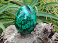 Polished Classic Large Solid Flower Banded Malachite Gemstone Eggs - Sold Per Item - From Congo