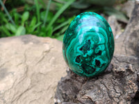 Polished Classic Large Solid Flower Banded Malachite Gemstone Eggs - Sold Per Item - From Congo