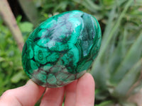 Polished Classic Large Solid Flower Banded Malachite Gemstone Eggs - Sold Per Item - From Congo