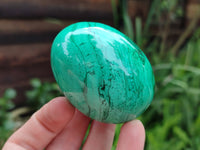 Polished Classic Large Solid Flower Banded Malachite Gemstone Eggs - Sold Per Item - From Congo