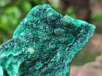 Natural Silky Malachite Specimens x 6 From Kasompe, Congo