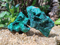 Natural Silky Malachite Specimens x 6 From Kasompe, Congo