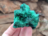 Natural Silky Malachite Specimens x 6 From Kasompe, Congo