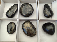 Polished Pharaoh Stone Free Forms x 6 From Zimbabwe