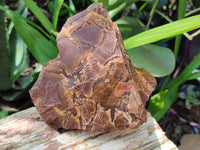 Natural Nguni Jasper Specimens x 3 From South Africa