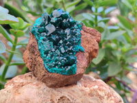 Natural Dioptase On Dolomite Specimens x 2 From Likasi, Congo