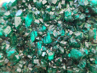 Natural Dioptase On Dolomite Specimens x 2 From Likasi, Congo