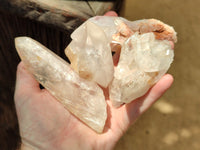 Natural Clear Quartz Crystals x 6 From Zambia