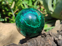 Polished Flower Banded Malachite Spheres x 3 From Congo