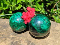 Polished Flower Banded Malachite Spheres x 3 From Congo