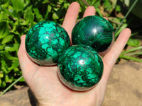 Polished Flower Banded Malachite Spheres x 3 From Congo