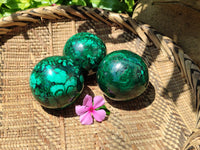 Polished Flower Banded Malachite Spheres x 3 From Congo