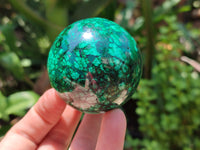 Polished Flower Banded Malachite Spheres x 3 From Congo