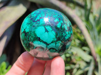 Polished Flower Banded Malachite Spheres x 3 From Congo