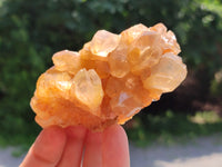 Natural Limonite Quartz Clusters x 12 From Solwezi, Zambia