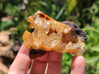 Natural Limonite Quartz Clusters x 12 From Solwezi, Zambia