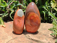 Polished Polychrome Jasper Standing Free Forms x 4 From Madagascar