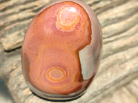 Polished Polychrome Jasper Standing Free Forms x 4 From Madagascar