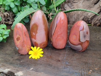 Polished Polychrome Jasper Standing Free Forms x 4 From Madagascar