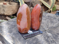 Polished Polychrome Jasper Standing Free Forms x 4 From Madagascar