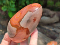 Polished Polychrome Jasper Standing Free Forms x 4 From Madagascar