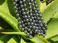 Polished Silver Hematite Ball Shaped Beaded Necklace - Sold Per Item - From China