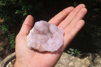 Natural Amethyst Spirit Quartz Clusters x 6 From Boekenhouthoek, South Africa