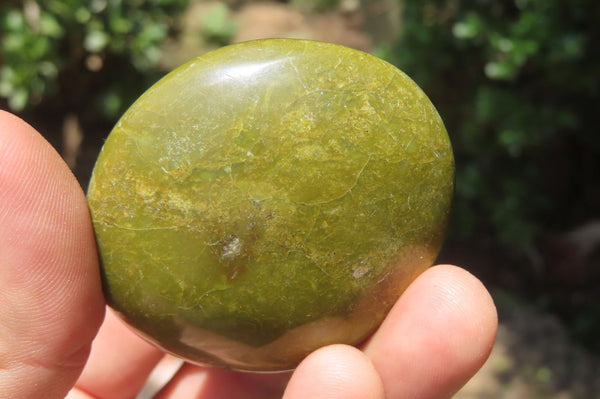 Polished Green Opal Palm Stones x 20 From Madagascar