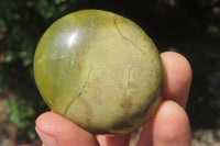 Polished Green Opal Palm Stones x 20 From Madagascar