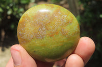 Polished Green Opal Palm Stones x 20 From Madagascar